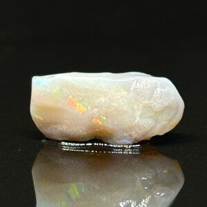 Opalized Fossil Clam Shell Australian Coober Pedy Specimen Mineral